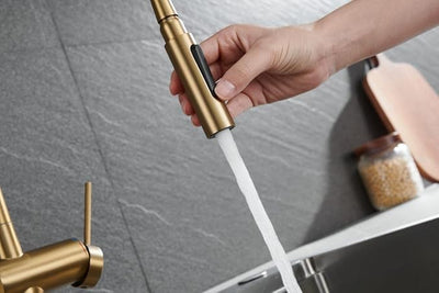 Grifo Cocina Extraíble IMEX Berna GCE026 Oro Cepillado