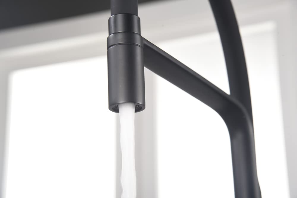 Imex - Grifo Monomando Extraíble Flexible para Cocina Sena | Negro mate, Caño orientable 360°, Diseño moderno y resistente