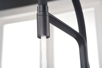 Imex - Grifo Monomando Extraíble Flexible para Cocina Sena | Negro mate, Caño orientable 360°, Diseño moderno y resistente