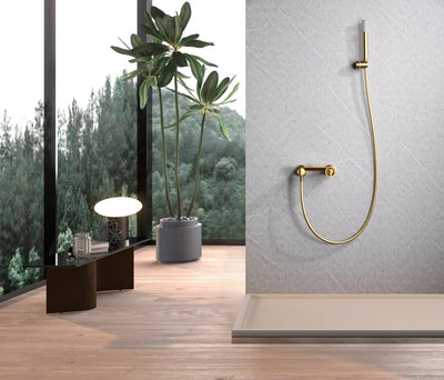 Kit de Ducha Monomando IMEX Olimpo BDC033-5OC Oro Cepillado