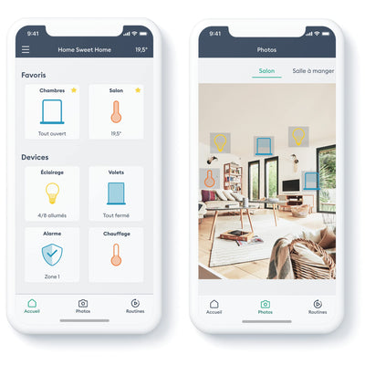 Pasarela Domótica Delta Dore Tydom Pro 6700117 | Gestión Total desde App Móvil